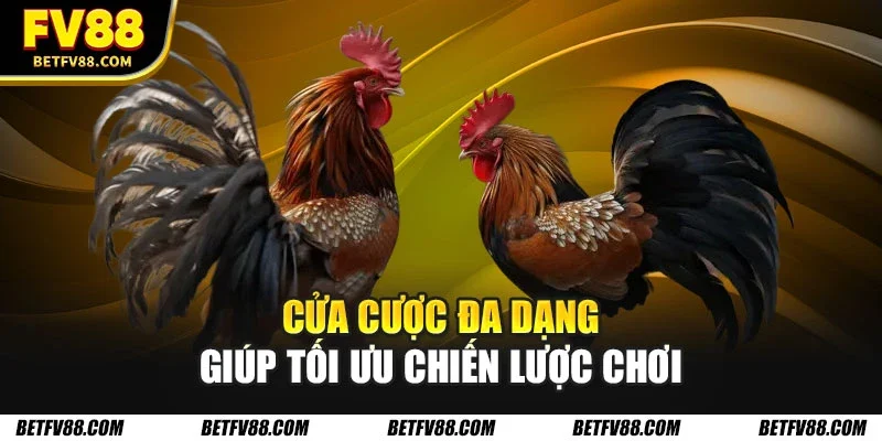 Cửa cược đa dạng giúp tối ưu chiến lược chơi