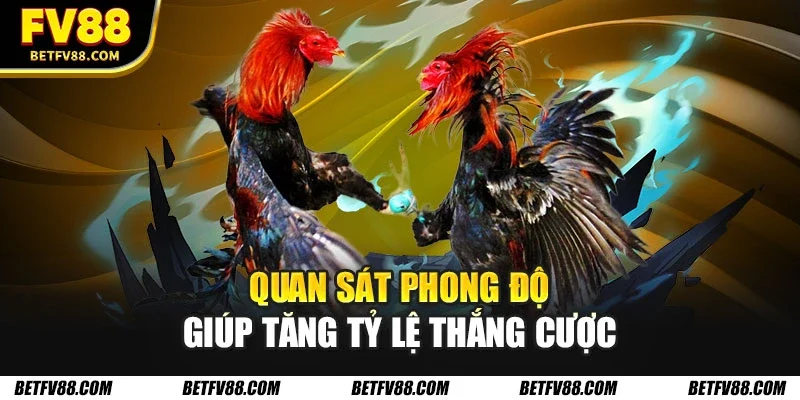 Quan sát phong độ giúp tăng tỷ lệ thắng cược