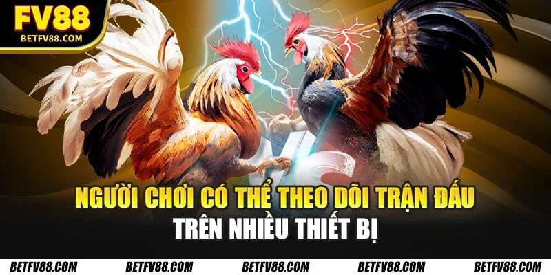 Đá Gà FV88 Với Nhiều Trận Đấu Hấp Dẫn Mỗi Ngày, Xanh Chín 3 Người chơi có thể theo dõi trận đấu trên nhiều thiết bị