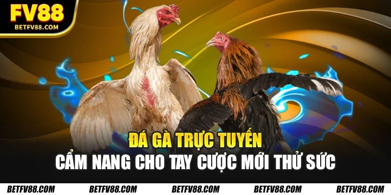 Đá gà trực tuyến