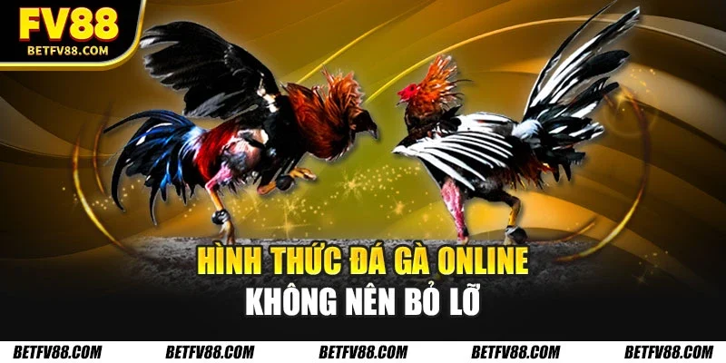 Hình thức đá gà online không nên bỏ lỡ