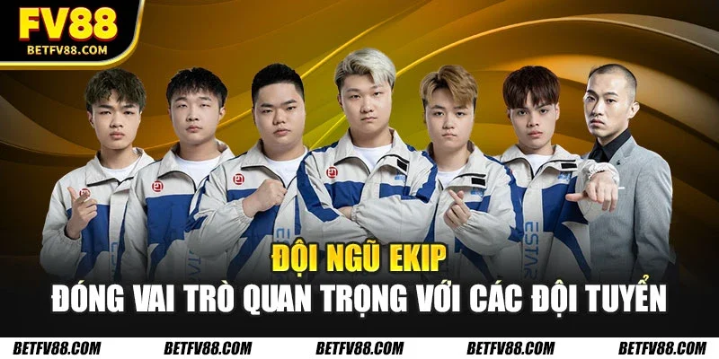 Đội ngũ ekip đóng vai trò quan trọng với các đội tuyển