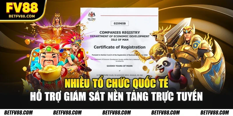 Giấy Phép Hoạt Động FV88 Và Những Thông Tin Quan Trọng 3 Nhiều tổ chức quốc tế hỗ trợ giám sát nền tảng trực tuyến