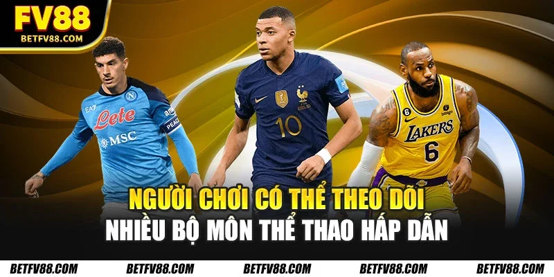 Người chơi có thể theo dõi nhiều bộ môn thể thao hấp dẫn
