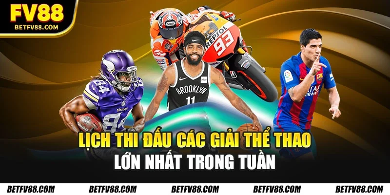 Lịch thi đấu các giải thể thao